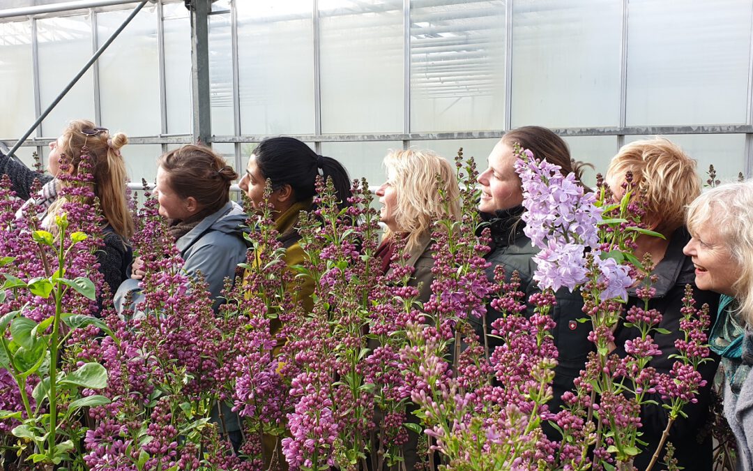 Themadag Seringen op 22 april bij Historische Tuin Aalsmeer